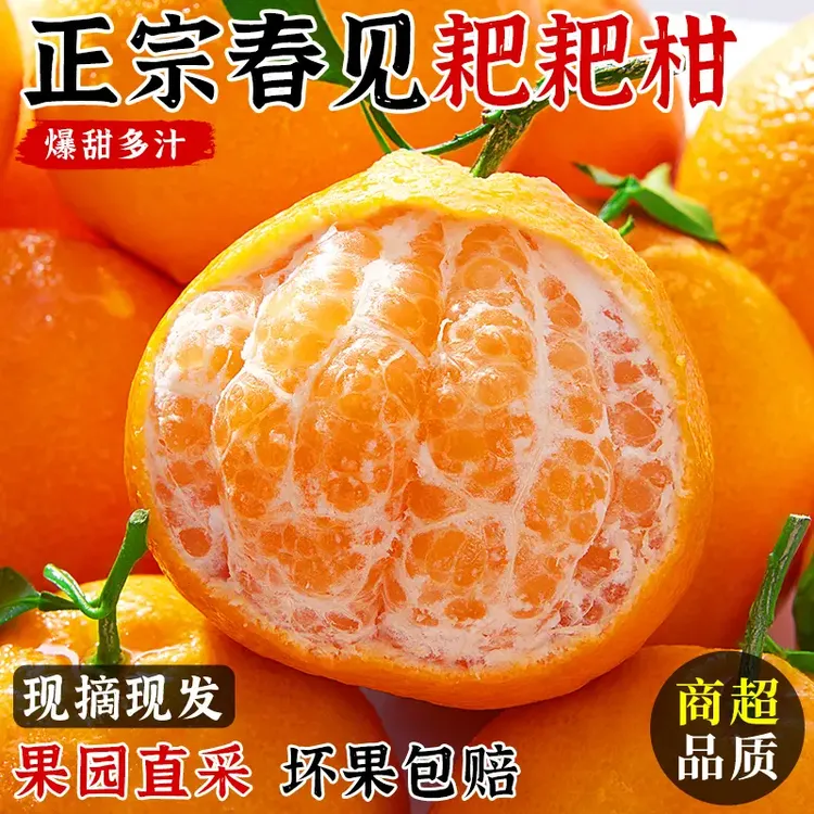 正宗春见耙耙柑产地直发新鲜多汁当季上市水果m01