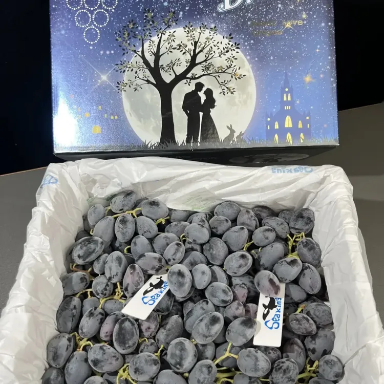 【神秘梦境】Mysticdream无籽黑提黑纯甜多汁应季神秘梦境无籽黑提