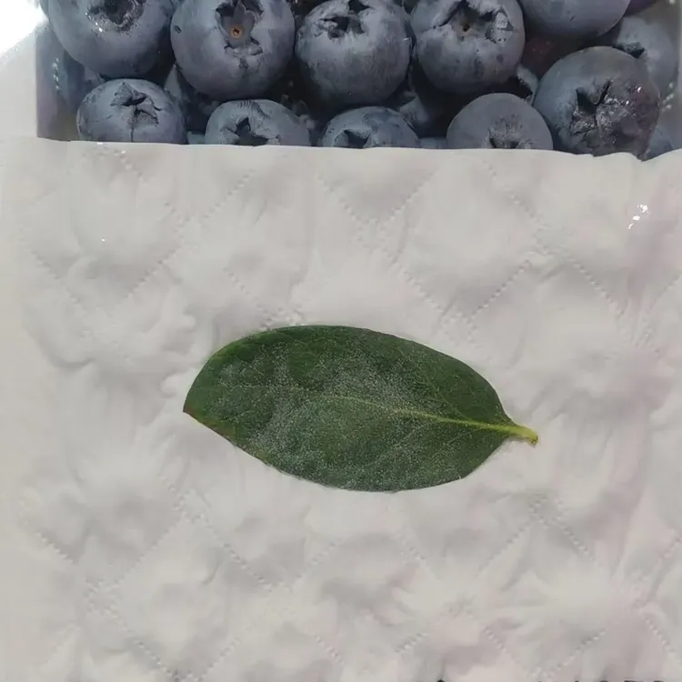 云南L11脆甜蓝莓