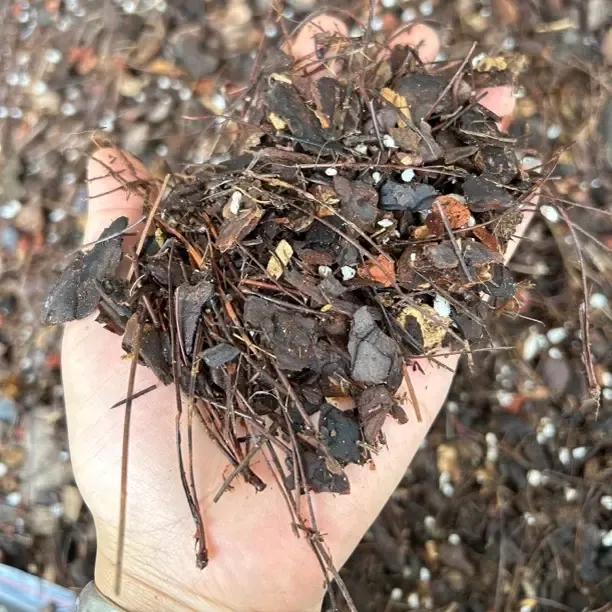 中颗粒七合一精品兰花植料适用所有兰科兰花
