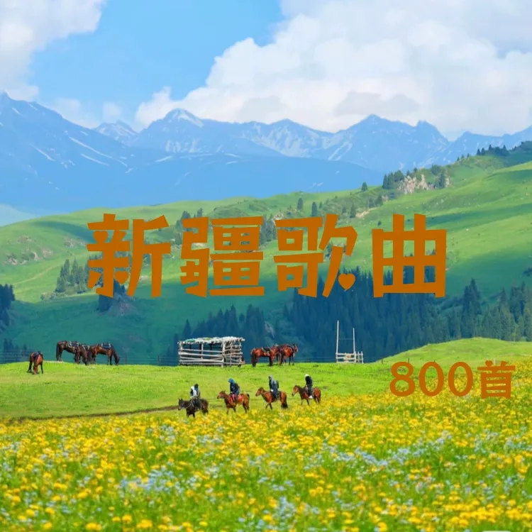 新疆歌曲U盘新疆维吾尔族歌曲U盘MP3格式即插即用