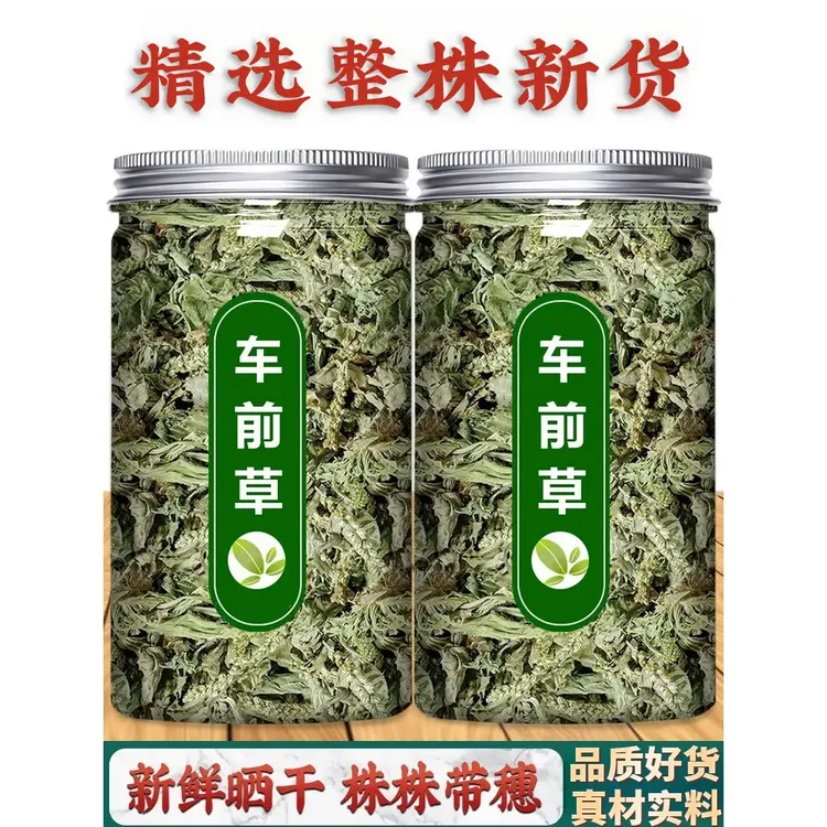 车前草泡茶原材料泡水正宗车前草新货车前草晒干车前草煮水