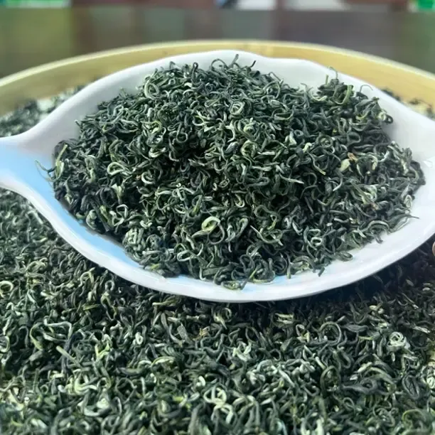 2025年新茶四川明前碧螺春