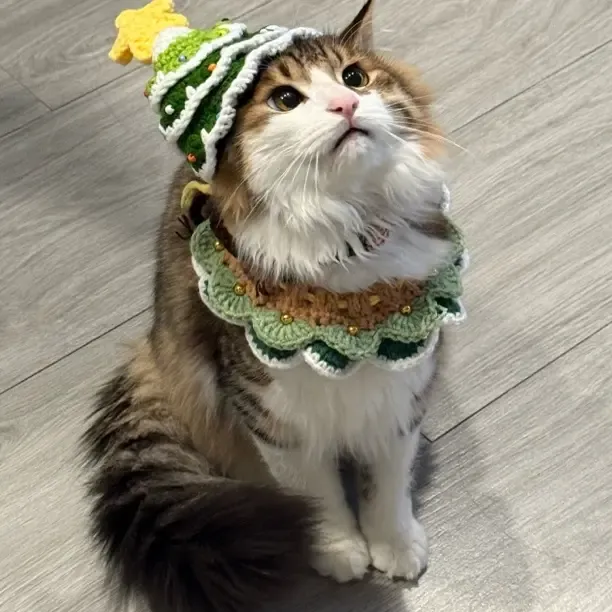 【B组】手工编织宠物毛线围脖装饰猫咪狗狗帽子节日装扮头饰
