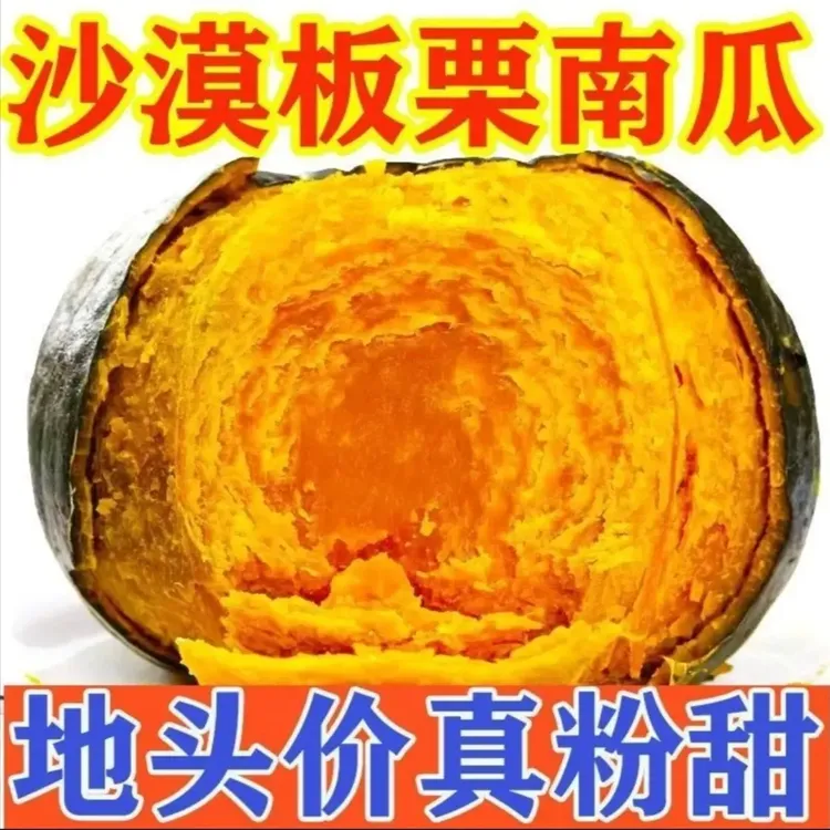 正宗沙漠板栗南瓜粉糯香甜板栗味可作宝宝辅食粗粮新鲜当季蔬菜