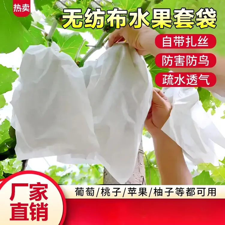 无纺布水果套袋防害防鸟葡萄网袋瓜果透气保护套袋