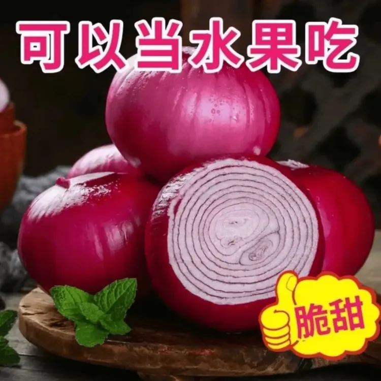 【紫皮水果洋葱种子】家庭阳台小院盆栽地栽四季种植