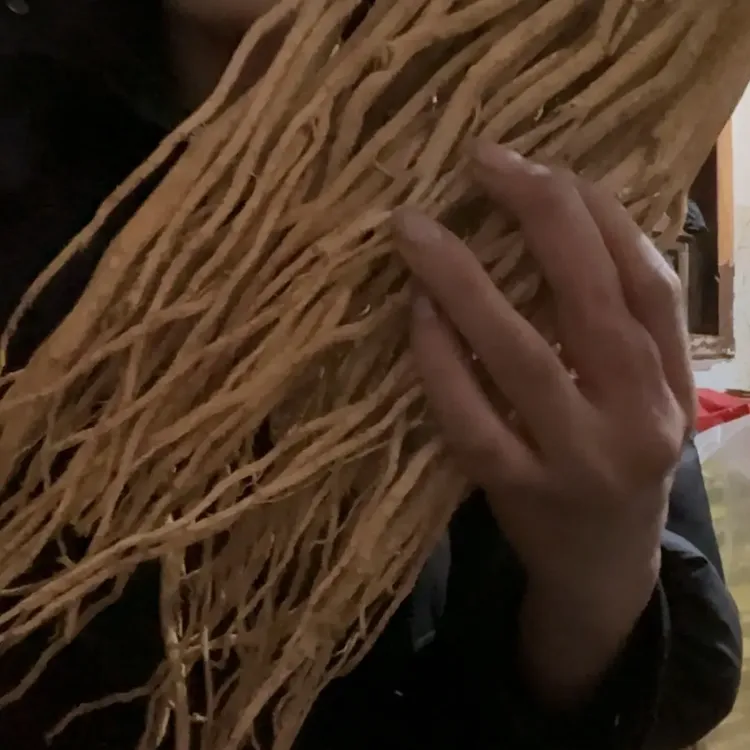 甘肃党参干货原产地自然晾晒煲汤泡水滋补养生食材