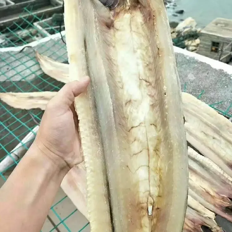 自然风干淡盐不咸海鳗鱼干渔民自晒油鳝鱼干冷冻保存海鲜干货