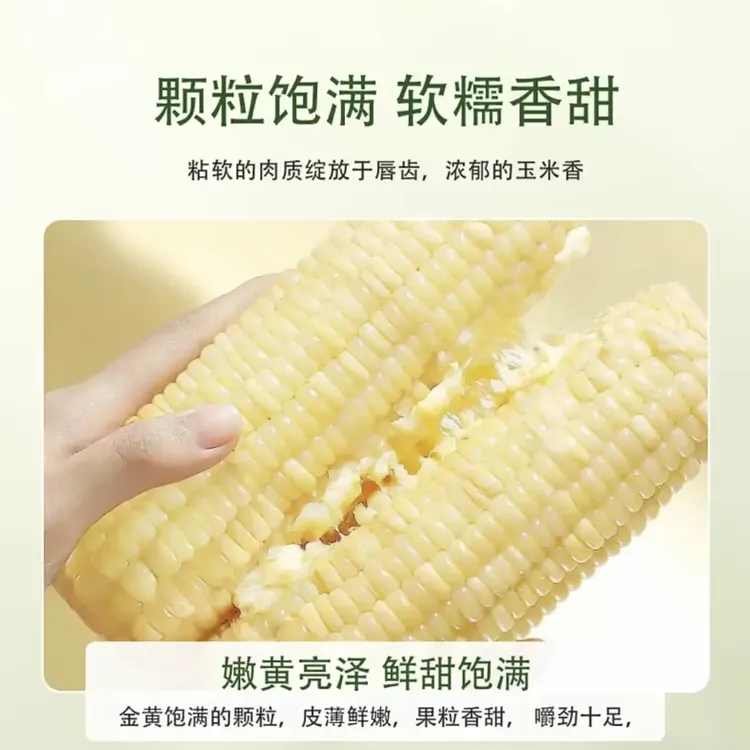 东北头茬鲜食玉米，软糯香甜，早餐速食粗粮真空包装
