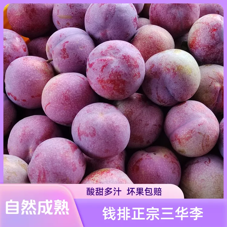 钱排正宗三华李承诺只做新鲜果现订现摘果园直发包邮到家坏果包赔