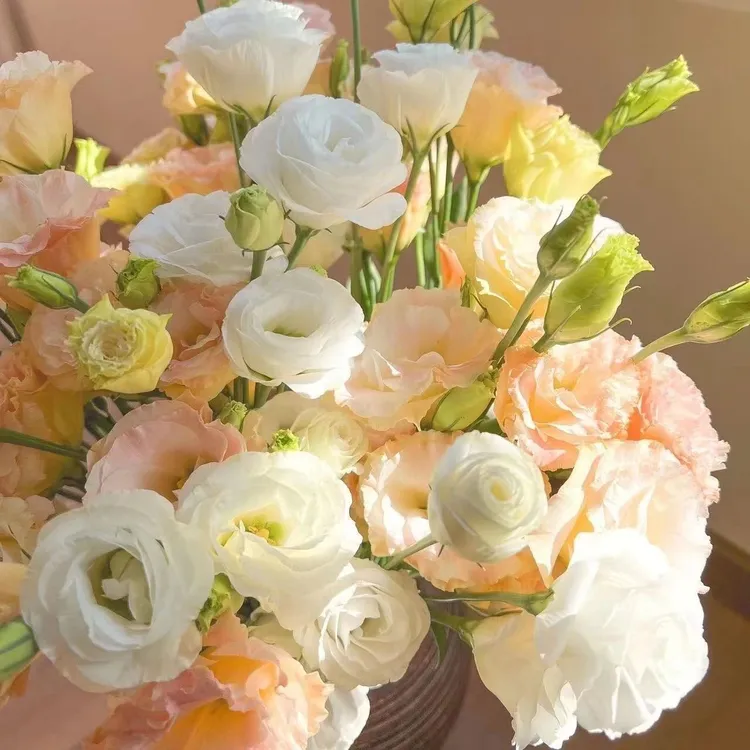 云南昆明基地直发洋桔梗龙胆花真鲜切花花束室内水养鲜花混搭批发