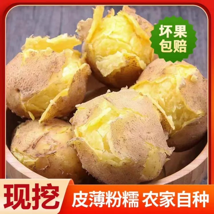 5斤包邮2025新鲜土豆黄壤土豆洋芋