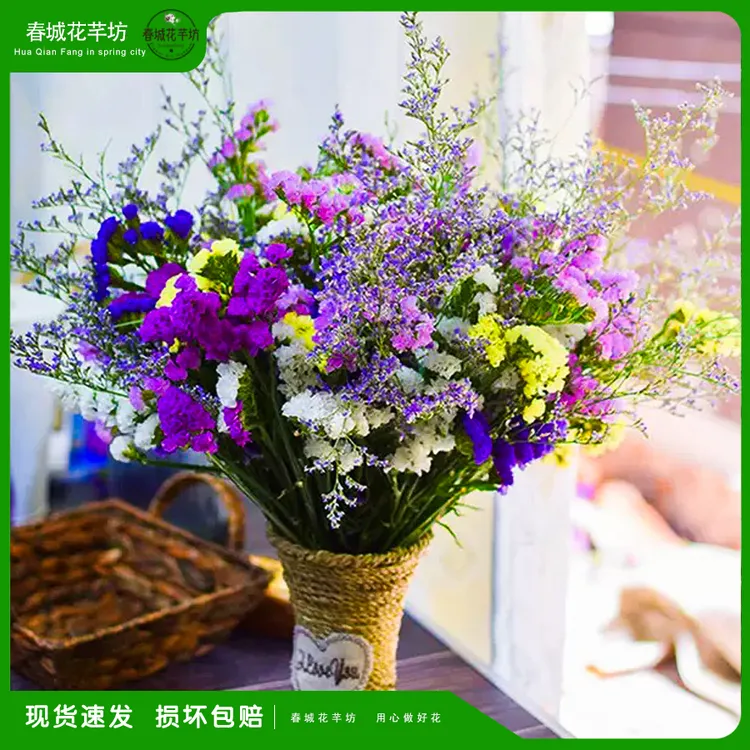 【买一束送一束】大束勿忘我花束鲜花干花真花瓶云南摆设800克