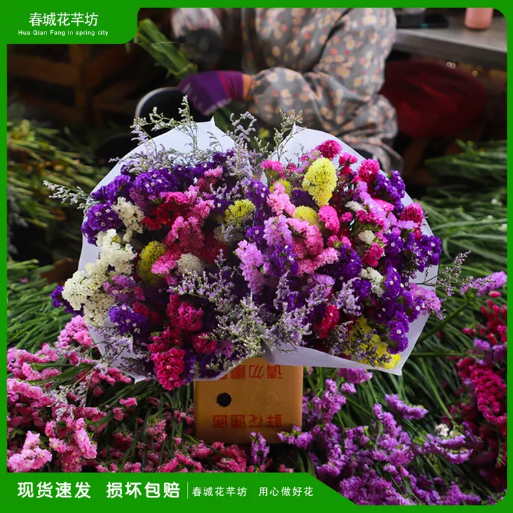 【两斤装勿忘我】云南昆明直发勿忘我干花花束鲜花真花插礼物花卉商品图