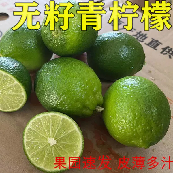 泰国塔西提无籽青柠檬清香薄皮多汁新鲜水果香水柠檬奶茶店包邮