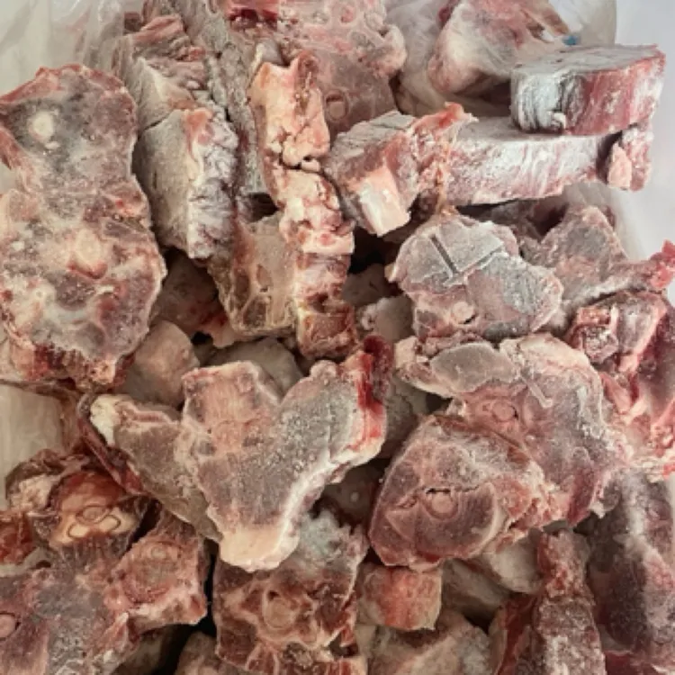 正宗内蒙羔羊羊蝎子多肉型