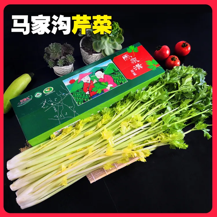 山东特产马家沟芹菜空心芹菜凉拌心山东特产绿色健康黄芹玻璃脆