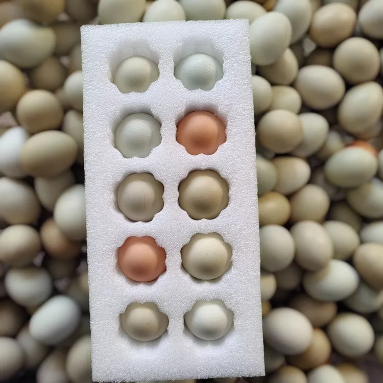 [草上凰]散养土鸡蛋10枚新鲜草鸡蛋五谷杂粮喂养草鸡蛋