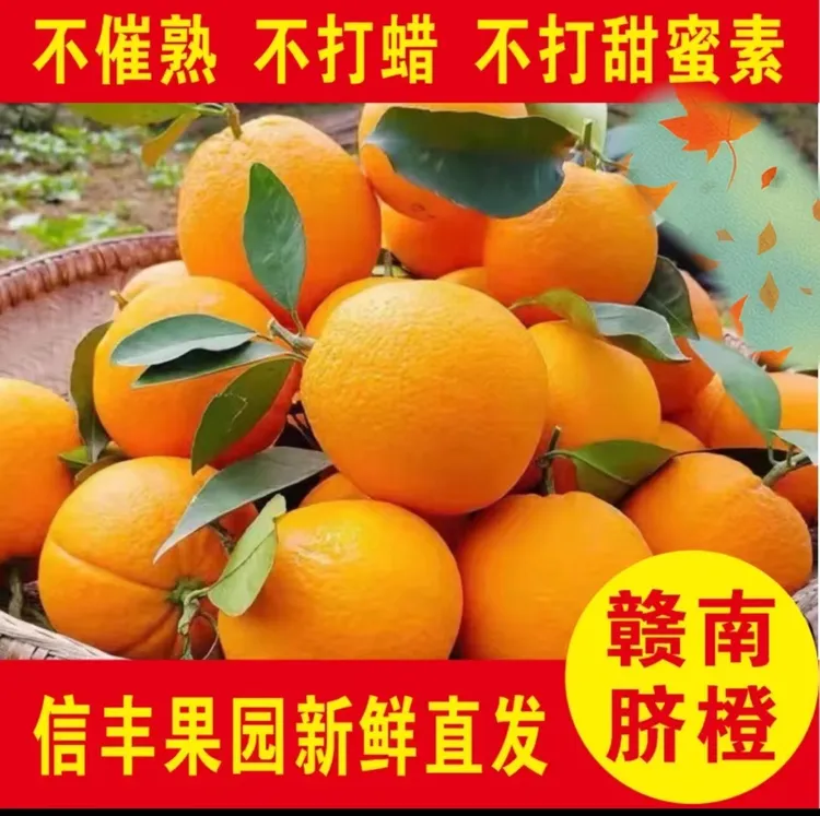 信丰赣南脐橙自家果园现摘现发精品果带箱10斤20斤顺丰包邮