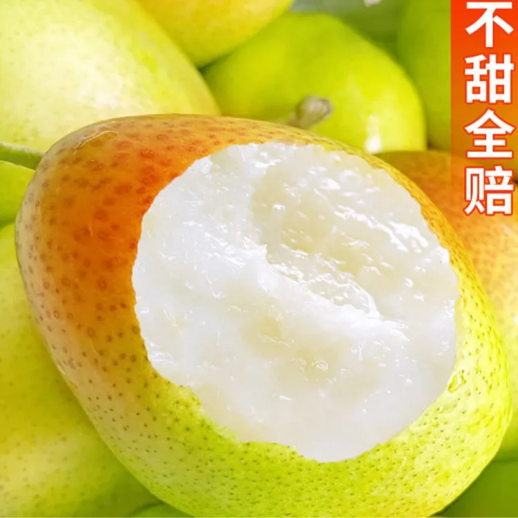 【御果甄选】山西香梨红香酥梨3-5斤新鲜水果梨当季整箱梨子