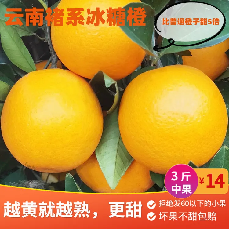 云南冰糖橙新鲜橙子柑橘9斤水果当季现摘甜橙手剥整箱哀牢山皮薄