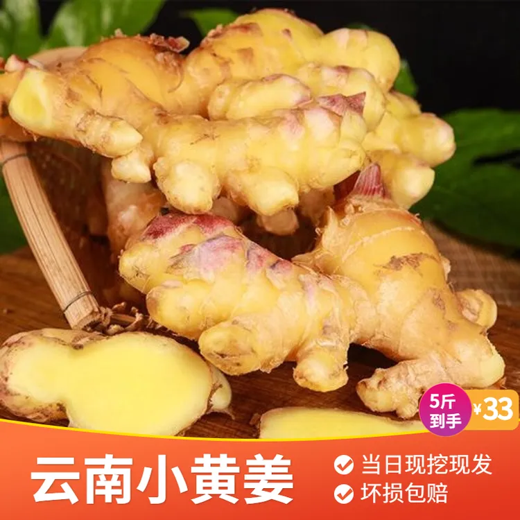 小黄姜云南小黄姜生姜新鲜食疗两用9斤仔姜子姜嫩姜老姜干姜土姜