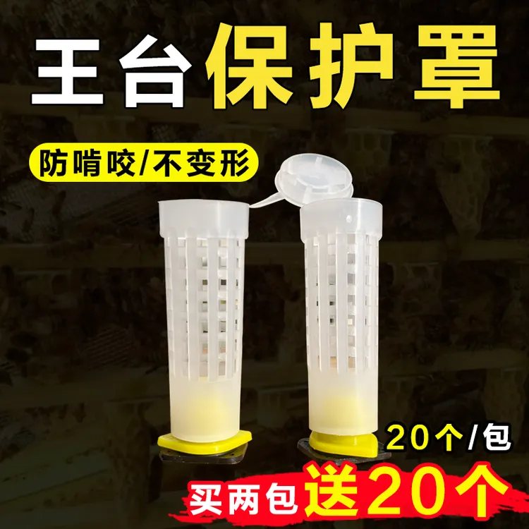 育王王台保护罩 王台基介台 防啃咬王台罩塑料蜂王独立出壳