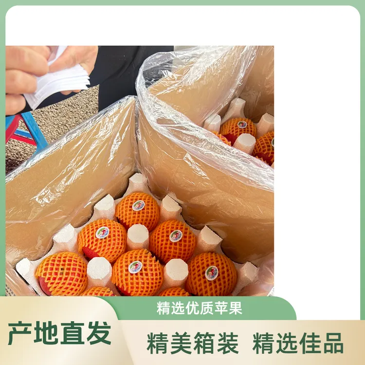 陕西自产自销 秦脆苹果脆甜可口  18枚（80mm）精美箱装精选优品