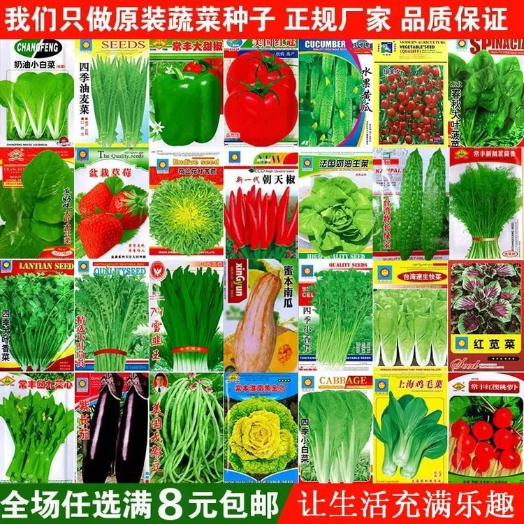 【满5元包邮】四季播种蔬菜种子大全农盆栽种植香菜白菜萝卜小葱种
