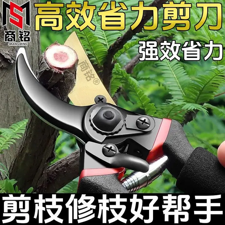 修枝剪园艺剪刀剪树枝专用园林修剪果树嫁接花艺剪省力剪枝花园