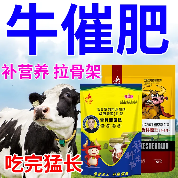 膘王活菌肽育肥牛催肥增重长膘壮骨增肌调理肠胃育肥牛饲料