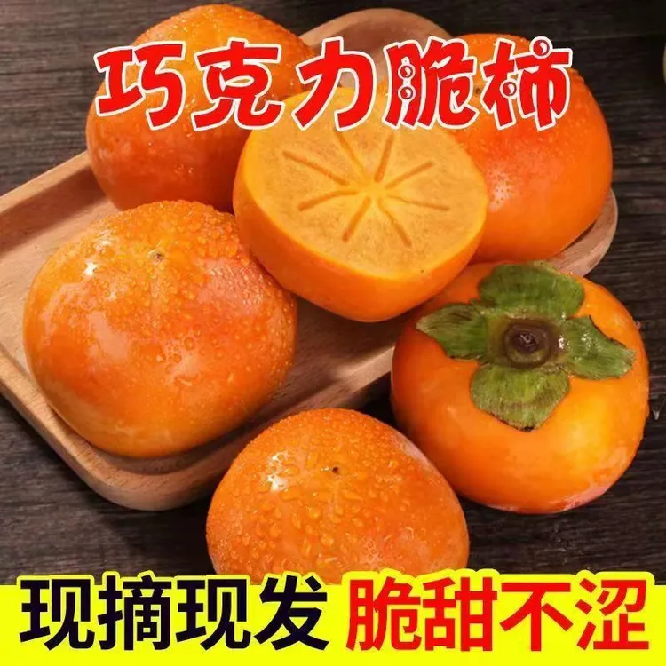陕西阳丰巧克力脆柿子新鲜水果无籽无核脆甜柿子5斤包邮精选