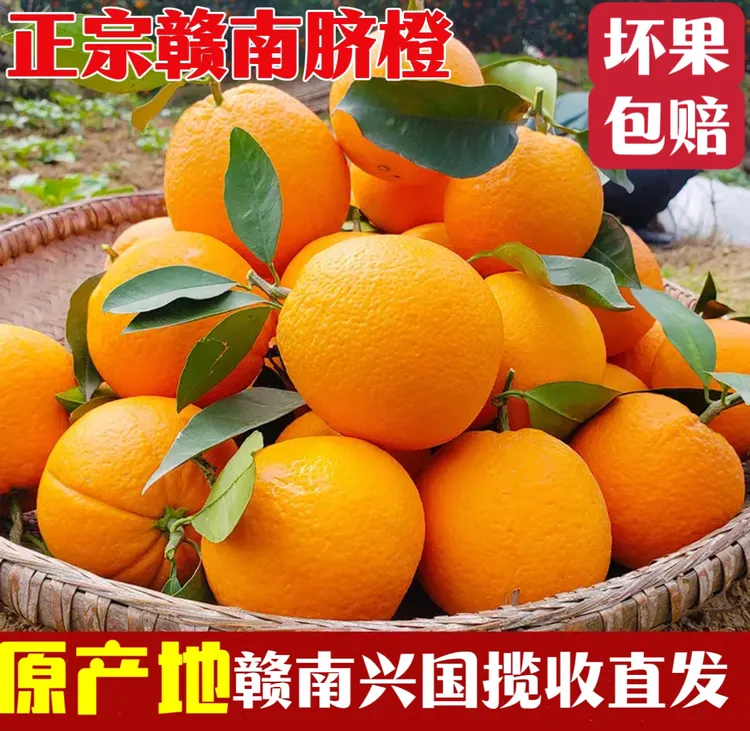 [坏果包赔]20斤正宗江西赣南脐橙香甜多汁新鲜现摘水果[产地直发]