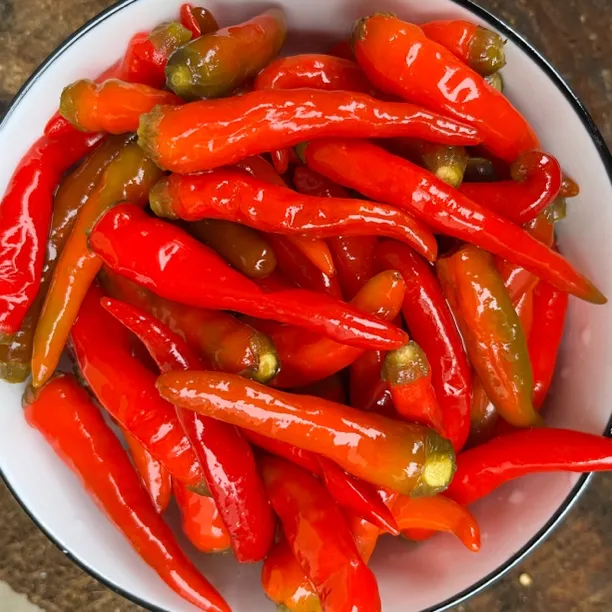 全州酸辣椒红辣椒乌红酸辣椒4斤顺丰快递包邮