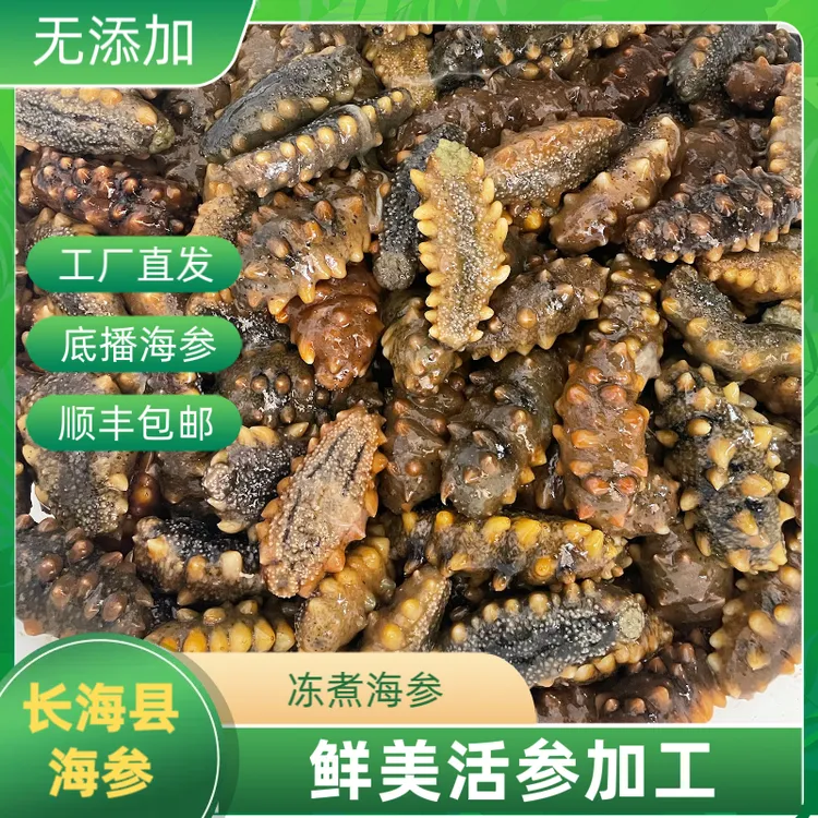 长海县深水冻煮海参500g深海海洋自然馈赠