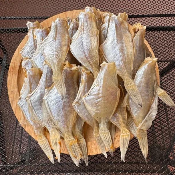 汕尾特产生晒迪仔鱼干大号敌仔脯250g扒皮鱼干剥皮鱼海域微咸干货