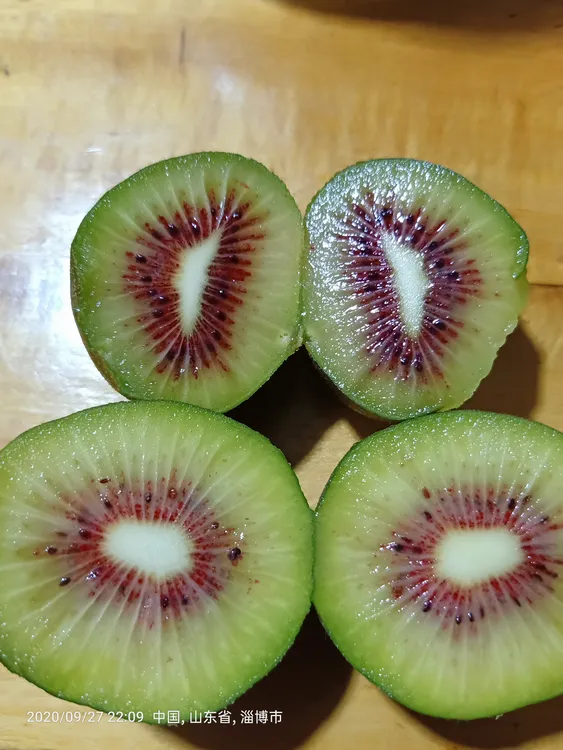 山东博山麻庄红心猕猴桃净果5斤装果园荒野求生直发坏果包赔