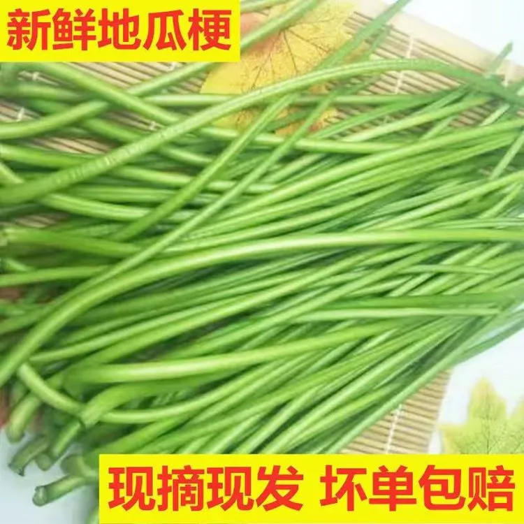 红薯梗地瓜农家自种新鲜红薯梗露天种植红薯叶食用1-5斤包邮