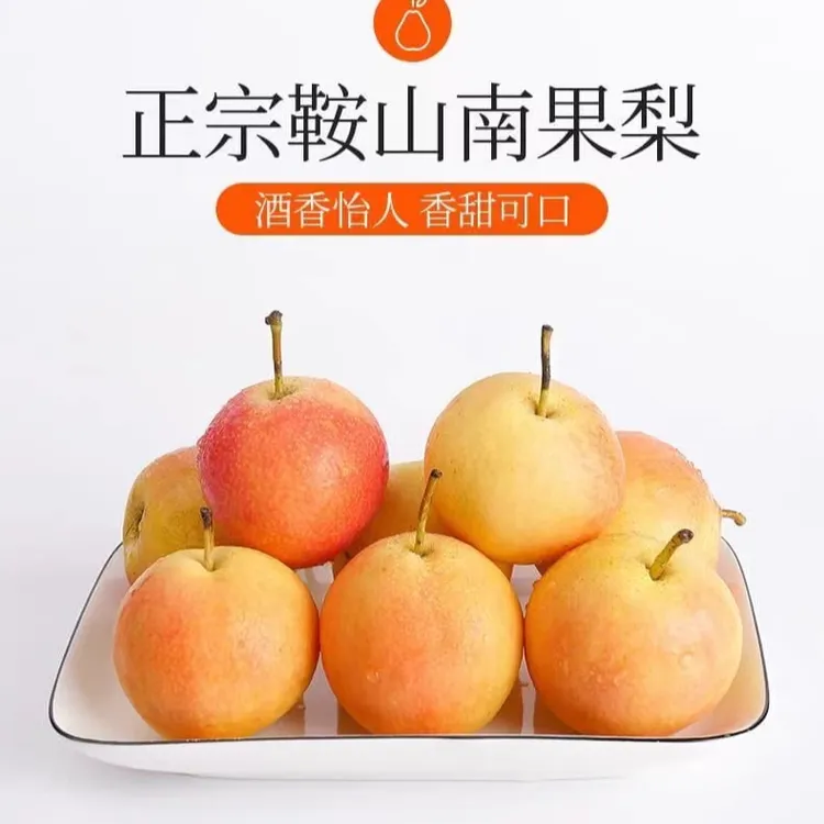 鞍山特产南国梨老品种细皮梨自家果园新鲜采摘