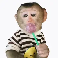 【9-19】扣号链接杂款长袖短袖潮牌服饰