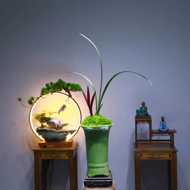 红草红荷兰花建兰夏兰四季兰好养易活荷瓣红花网红草室内盆栽盆景