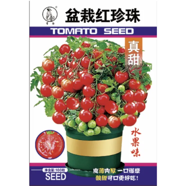 李白盆栽红珍珠柿子番茄种子