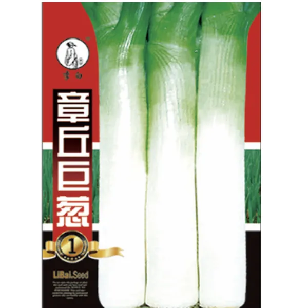 李白章丘巨葱大葱种子