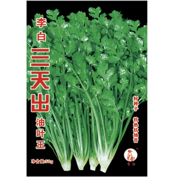 李白三天出油叶王香菜种子