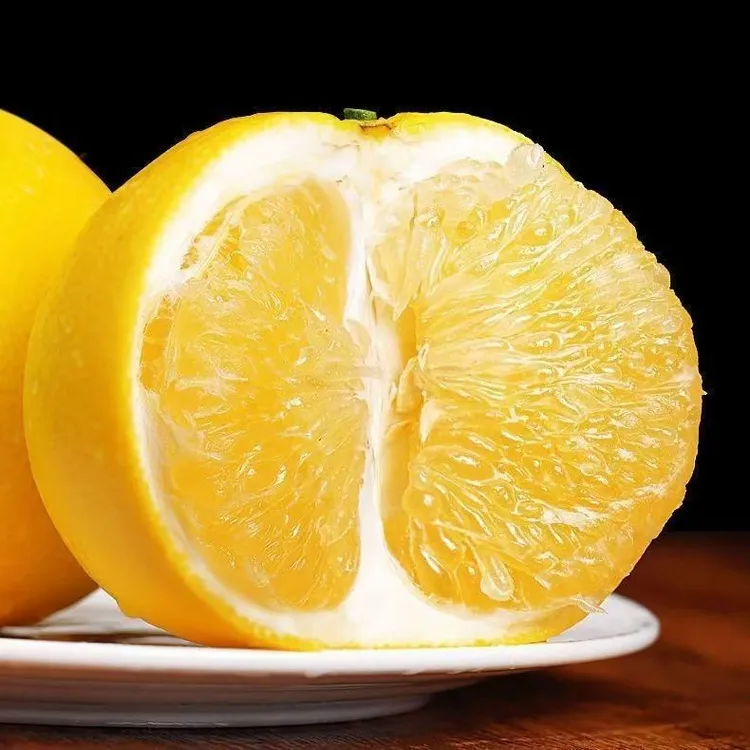 【发青皮果】葡萄柚新鲜采摘发货皮薄多汁清甜爆汁福建翡翠葡萄柚果