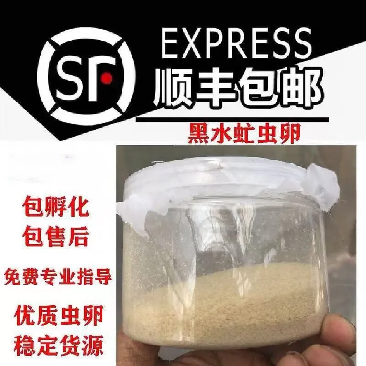 【家庭农场专用】黑水虻虫蛋