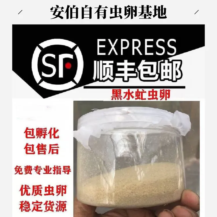 【批发】黑水虻虫卵批发，喂鸡鸭鹅鱼虾蟹龟鳖蛙