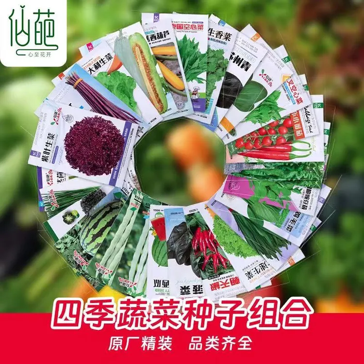  蔬菜种子乌塌菜小香葱香菜生菜青菜空心菜正宗上海鸡毛菜