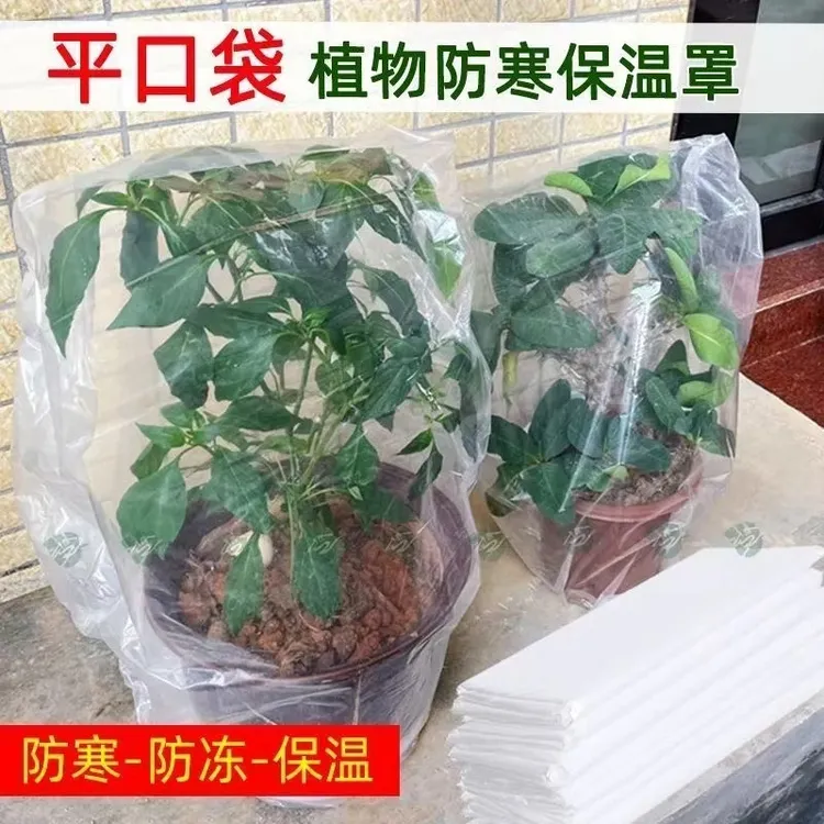 绿植物防冻保温袋塑料膜防尘袋花卉盆栽过冬保护罩防寒保暖防寒罩商品图